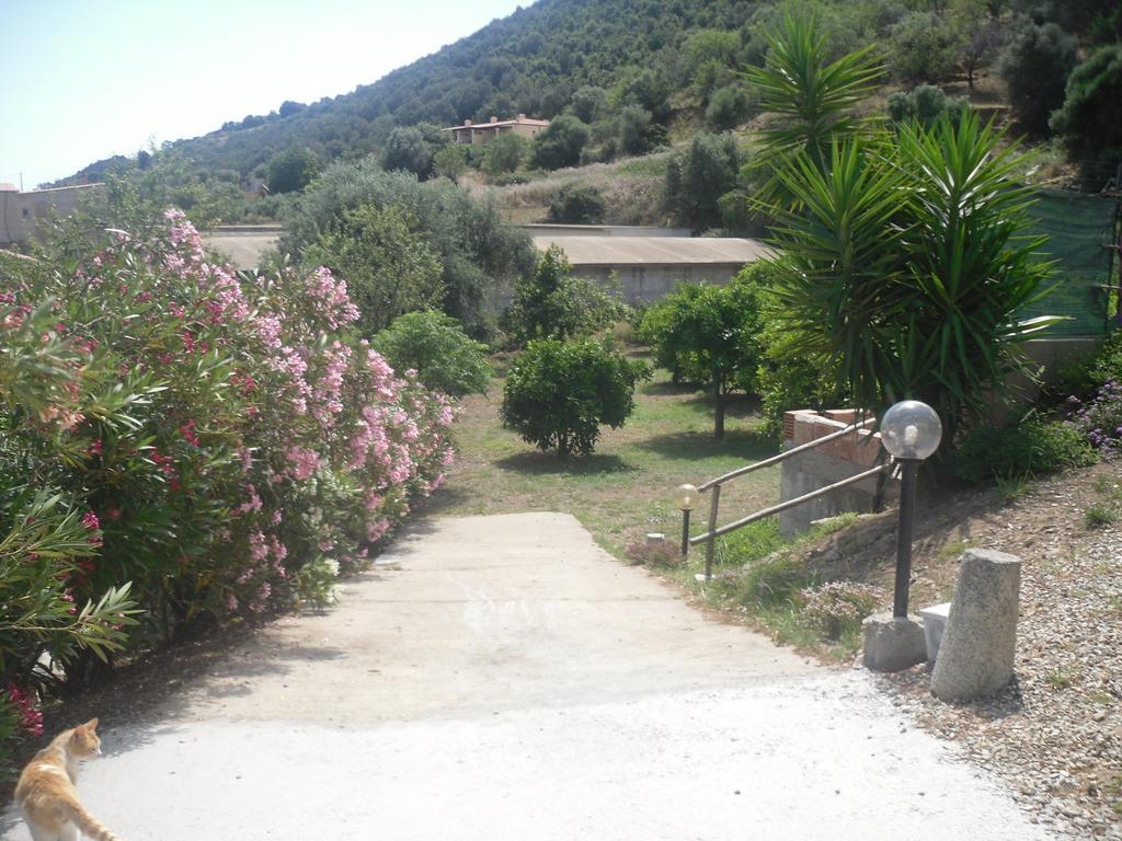B&B Sa Funtana Cardedu Εξωτερικό φωτογραφία