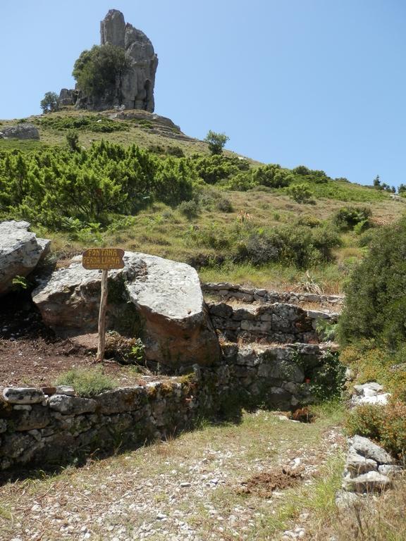 B&B Sa Funtana Cardedu Εξωτερικό φωτογραφία