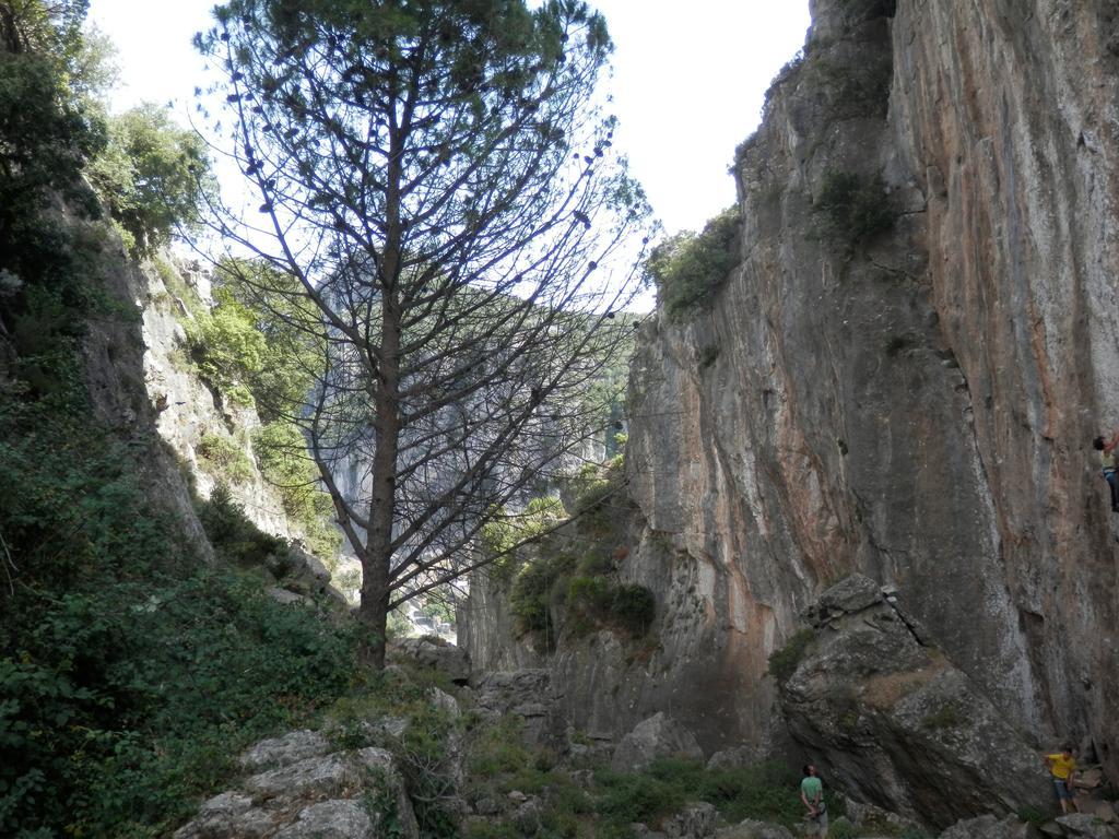 B&B Sa Funtana Cardedu Εξωτερικό φωτογραφία